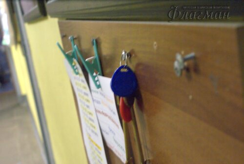 SONY DSC